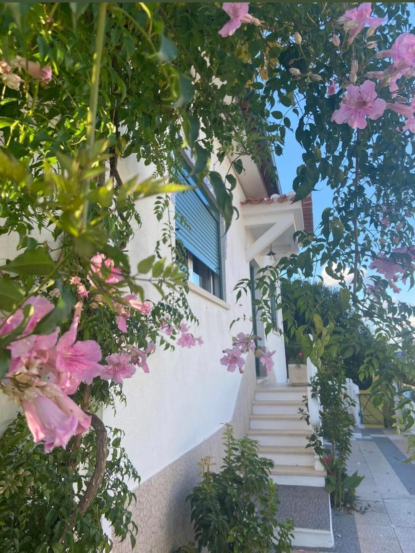 Azinhaga Casa De Azzancha 게스트하우스 외부 사진